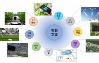 智慧農業(yè)浪潮下，農企如何借力信息技術咨詢服務破局爭先